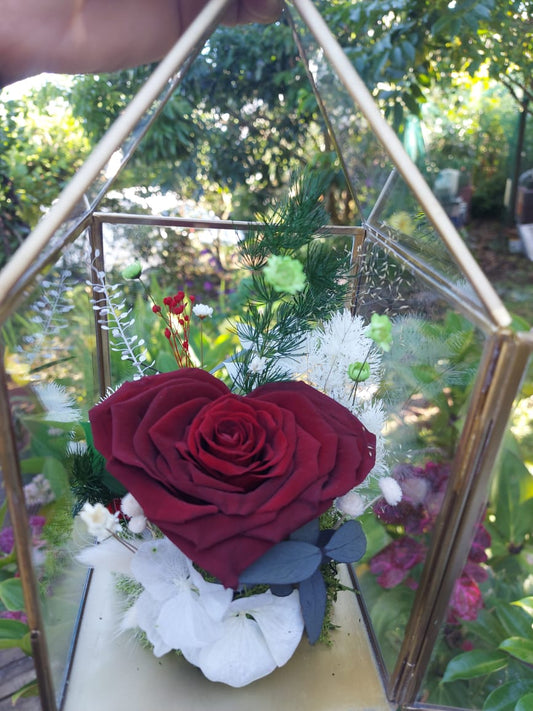 Cloche XL