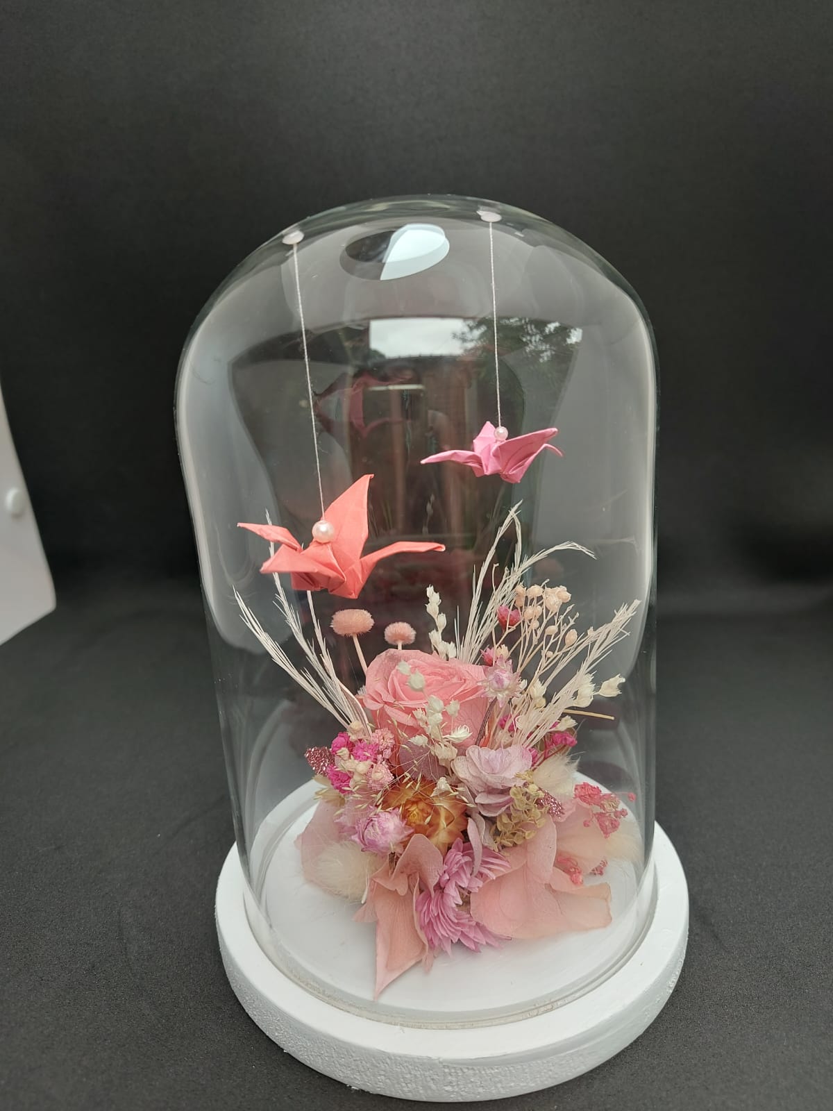 Moyenne Cloche